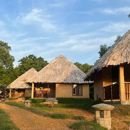 Saffron Lake Yala Tissamaharama Exterior foto