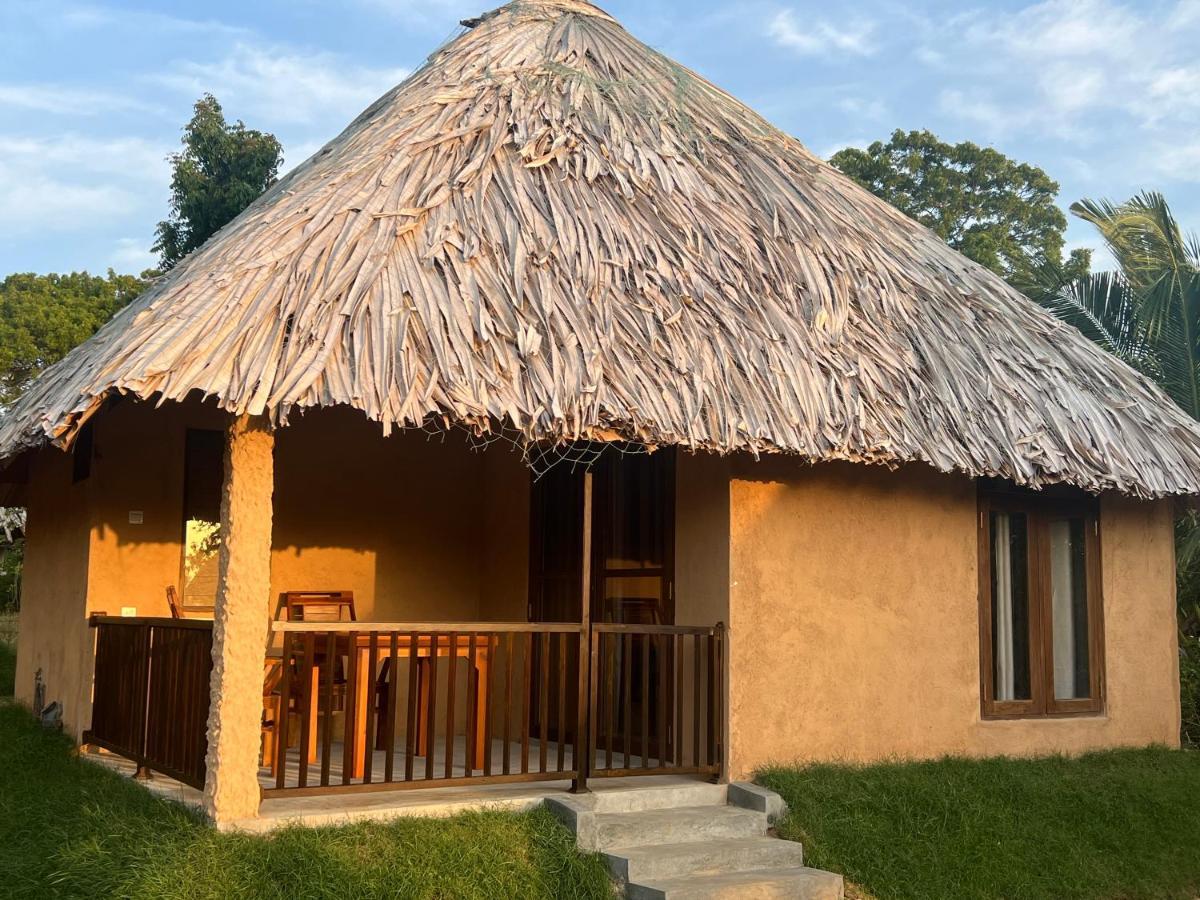 Saffron Lake Yala Tissamaharama Exterior foto